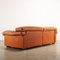 Vintage Sofa in Leather by Afra and Tobia Scarpa for B&b Erasmo Design, 1980s 11