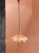Chandelier with Brass Structure and Murano Glass Hat by Gio Ponti, 1950s, Image 2