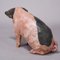 Cerdo campestre de Suabia de terracota, años 30, Imagen 6