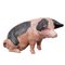 Cerdo campestre de Suabia de terracota, años 30, Imagen 2