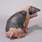 Cerdo campestre de Suabia de terracota, años 30, Imagen 5