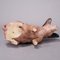 Cerdo campestre de Suabia de terracota, años 30, Imagen 7