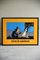 Vintage Tintin Poster mit Rahmen in Amerika von Herge Moulinsart 6