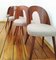 Dining Chairs by A. Suman for Tatra Nabytok, Former Czechoslovakia, 1960s, Set of 4 19