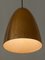 Mid-Century Modern Pendant Lamp, Germany, 1950s, Image 8