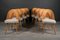 Mid-Century Dining Chairs by A. Suman, 1960s, Set of 8 11