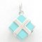 Blue Box Silver Pendant Top from Tiffany 2