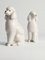 Caniche Dogs en Porcelaine Blanche Peinte à la Main par Lomonosov, 1960s, Set de 2 5