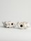 Weiße handbemalte Pudelhunde aus Porzellan von Lomonosov, 1960er, 2er Set 13