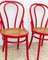 Cafe Chairs with Vienna Straw by Michael Thonet, 1950s, Set of 2, Image 3
