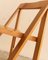 Folding Chairs by Aldo Jacober for Alberto Bazzani, Italy, 1960s, Set of 2 9