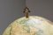 Antique Terrestrial Globe, 1900 5