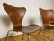 Modell 3107 Stühle von Arne Jacobsen für Fritz Hansen, 1950er, 3er Set 4