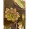Murano Glas mit Blumen Kronleuchter im italienischen Stil von Simoeng 8
