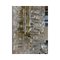 Applique Murale Lingue en Verre de Murano Transparent par Simoeng 5