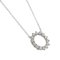 Kleine Circle Diamond Halskette aus Platin von Tiffany & Co. 3