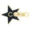 Star Coco Brooch from Chanel 1