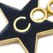 Star Coco Brooch from Chanel 2