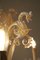 Murano Glass Sea Horse Chandelier by Barovier & Toso, 1900s 7