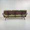 Vintage Sofa in Olive Green by Lucian Ercolani, 1960s 12