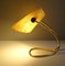 Lampe de Bureau Vintage par Rupert Nikoll 8