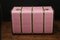 Baúl de correo curvado en rosa, años 20, Imagen 5