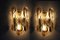 Citrus Wall Lamps from Kalmar, Set of 2, Image 5