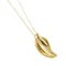 Leaf Necklace in Yellow Gold from Tiffany & Co. 3