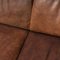Brown Buffalo Leather 3-Seater Modular Sofa from de Sede, 1970s, Set of 3, Image 7
