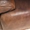 Brown Buffalo Leather 3-Seater Modular Sofa from de Sede, 1970s, Set of 3 10
