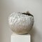 Untitled Stoneware Sculpture 11 by Laura Pasquino 2