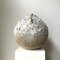 Untitled Stoneware Sculpture 11 by Laura Pasquino 7