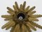 Sunburst Wall or Ceiling Light with Gold Metal Foliage, 1960s 6