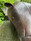 Hipopótamo de cuero de Dimitri Omersa para Omersa, Reino Unido, década de 2000, Imagen 7