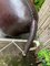 Hippo in pelle di Dimitri Omersa per Omersa, Regno Unito, inizio XXI secolo, Immagine 9
