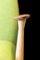 Silla vintage de teca y roble de Ib Kofod-Larsen, años 60, Imagen 7