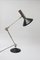 Lámpara de escritorio articulada de Hillebrand Leuchten, Alemania, años 60, Imagen 9