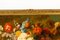Blumenstrauß, 1800er, Ölgemälde, Gerahmt 9
