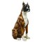 Boxer Dog Lebensgroße Majolika Statue Skulptur aus Glasierter Keramik, Italien, 1970er 1