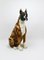 Boxer Dog Lebensgroße Majolika Statue Skulptur aus Glasierter Keramik, Italien, 1970er 6
