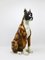 Boxer Dog Lebensgroße Majolika Statue Skulptur aus Glasierter Keramik, Italien, 1970er 4