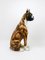 Boxer Dog Lebensgroße Majolika Statue Skulptur aus Glasierter Keramik, Italien, 1970er 8