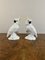 Cockatoos Mid-Century par TJ Jones, 1950s, Set de 2 1