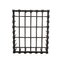 19th Century Spanish Wrought Iron Window Fence with Rosettes 4