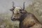 Vaca y oveja, década de 1800, óleo sobre lienzo, Imagen 4