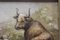 Vaca y oveja, década de 1800, óleo sobre lienzo, Imagen 2