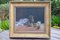 Colin Parker, Bodegón de fruta y jarra, óleo sobre lienzo, enmarcado, Imagen 1