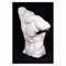 Torso Gaddi vintage in marmo composito, XX secolo, Immagine 4