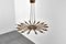 Dahlia Mod. 1563 Brass and Glass Chandelier by Max Ingrand, 1954 17