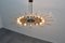Dahlia Mod. 1563 Brass and Glass Chandelier by Max Ingrand, 1954, Image 12
